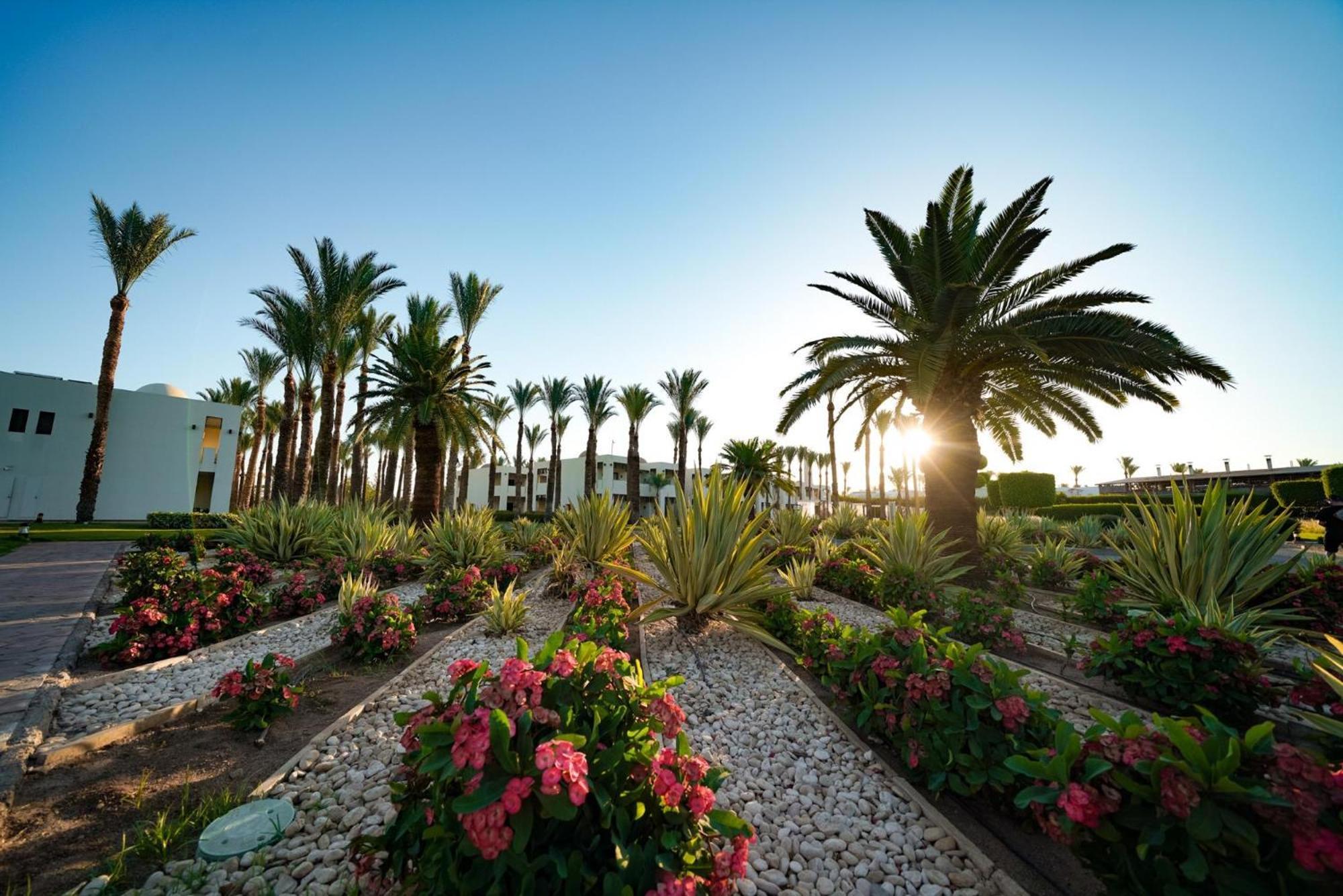 Sentido Reef Oasis Aqua Park Resort Sharm el-Sheikh Exterior photo The campus of the University of Patras